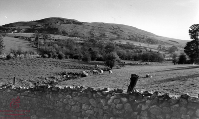 General View of the Foel