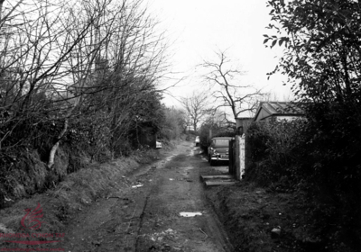 Dygewyd Lane, March 1977