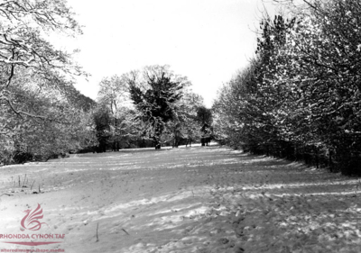 A fall of snow near Cwmbach, January 2001