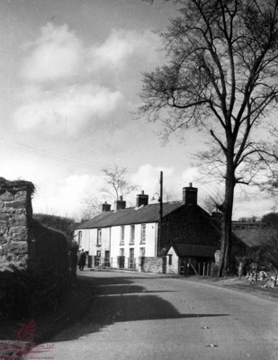 Chapel Road, 1954